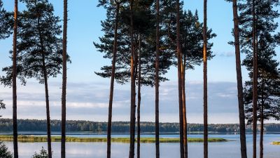 Жилой комплекс Pērle