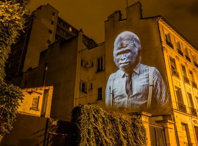 Сафари на улицах Парижа от Julien Nonnon